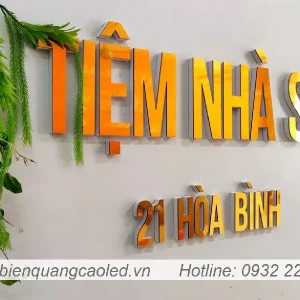 Chu noi khong sang den