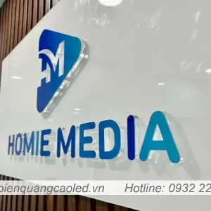 bien cong ty nen kinh 6mm hoa tiet noi 1cm