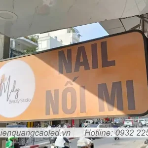 Mau bien vay sang tao