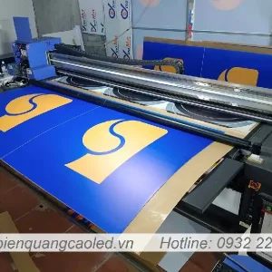 In decal pp
